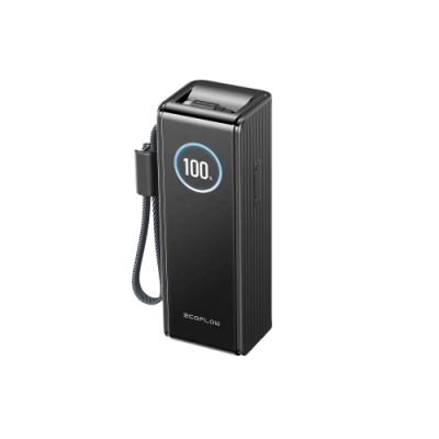 Павербанк EcoFlow RAPID Power Bank з кабелями 25000mAh чорний